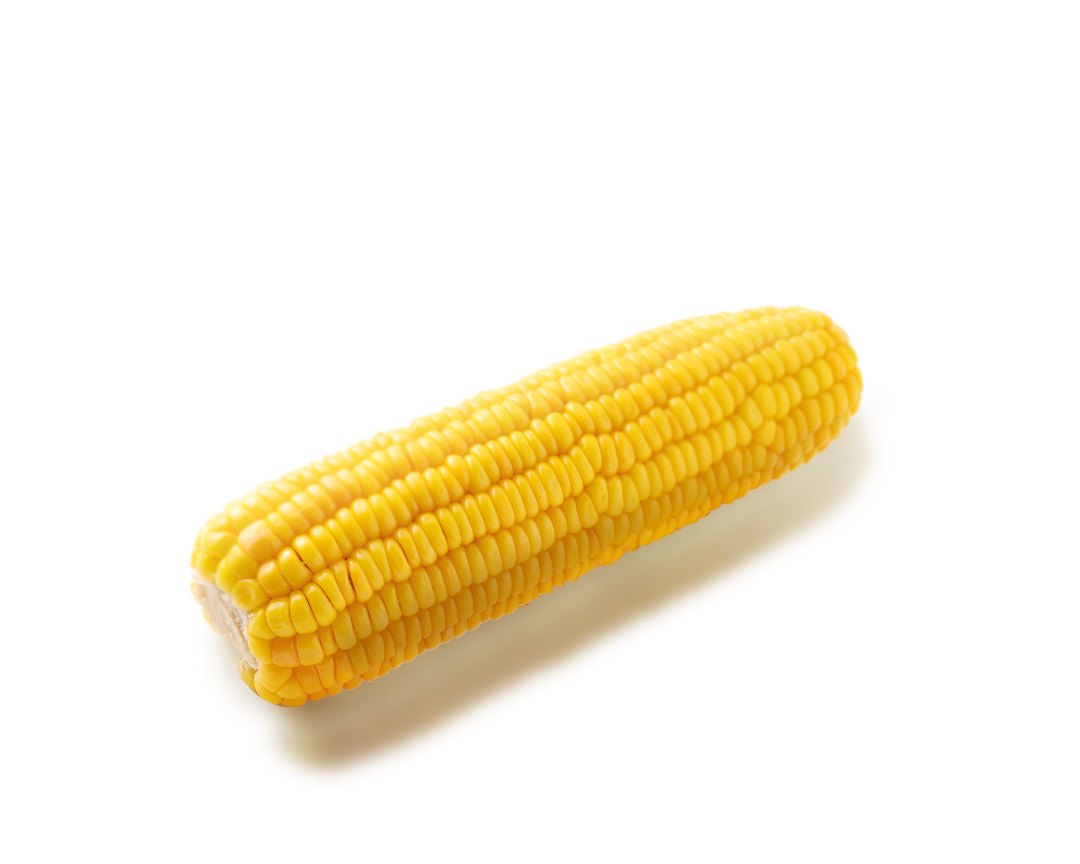 corn-1